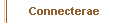  Connecterae 