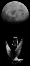 Invocation